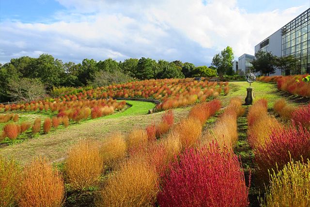 大分農業文化公園