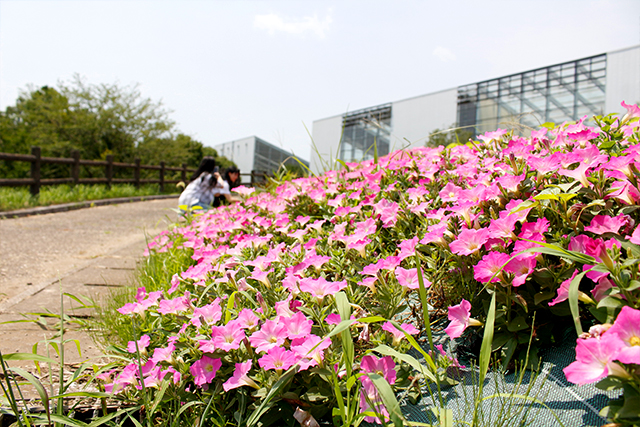 大分農業文化公園