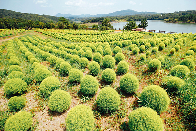 大分農業文化公園