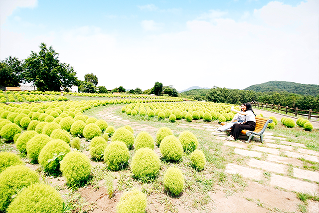 大分農業文化公園