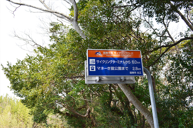 伊予灘からの春風にのって♪国東でマリンなサイクリング