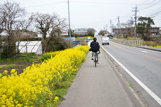 伊予灘からの春風にのって♪国東でマリンなサイクリング