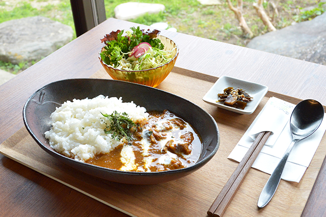 伊予灘からの春風にのって♪国東でマリンなサイクリング