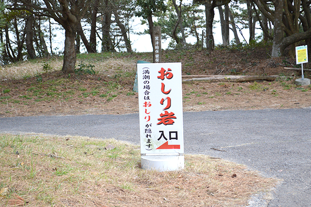 伊予灘からの春風にのって♪国東でマリンなサイクリング
