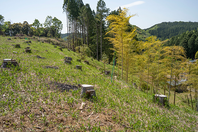 臼杵市野津町 グリーンツーリズム