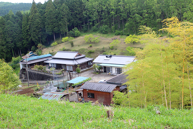 臼杵市野津町 グリーンツーリズム