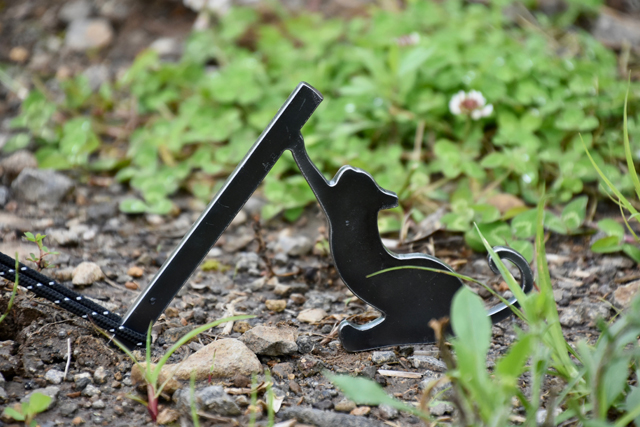 贅沢なひとり時間を楽しもう！- BEAVER SOLO CAMPSITE-