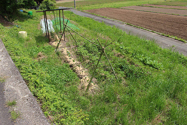 安心院　エコビレッジ 地球人村