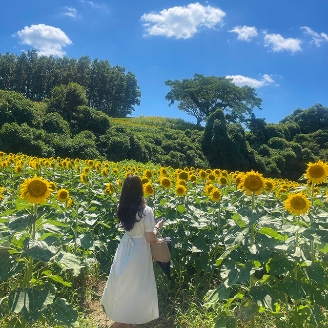 国東半島のビーチでアクティブな夏♡長崎鼻ビーチリゾート