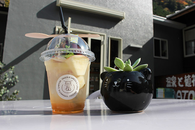 岩戸湯 IWATOYU CAFÉ サボテン