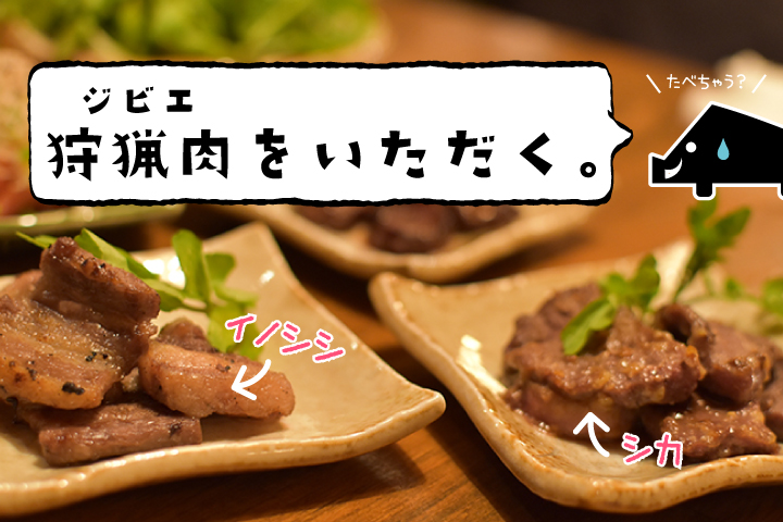 狩猟肉（ジビエ）をいただく。