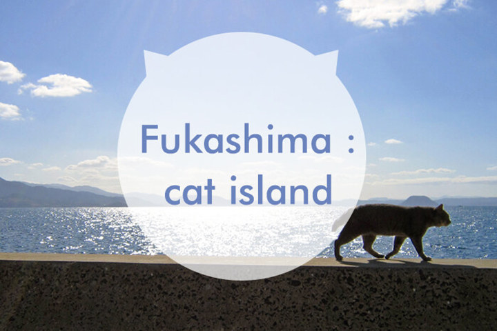ついに、猫を求めて海を渡る。in 深島