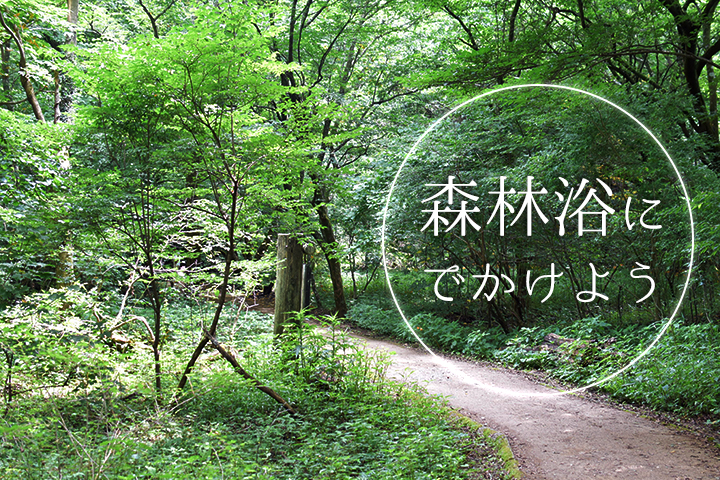 癒しを求めて・・・森林浴にでかけよう！