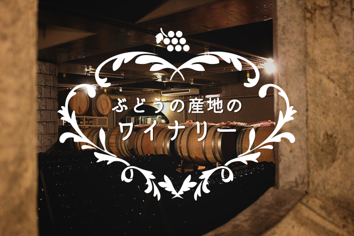「地元産のワインが美味しい」って<br>シアワセ♡