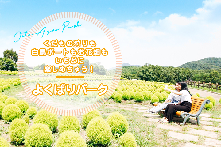 えっ、まだ行ってないの？！くだもの狩りも白鳥ボートもお花畑もいちどに楽しめちゃう！よくばりパーク