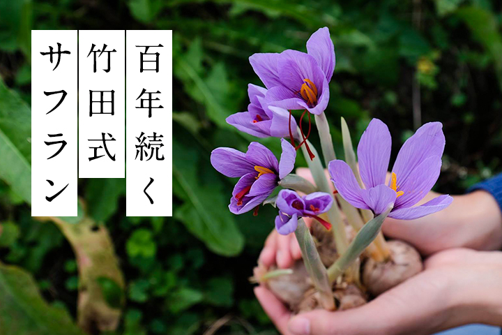 国内生産量、日本一！ 百年続く竹田式サフラン