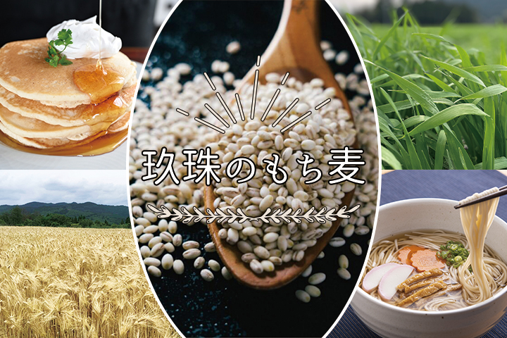 玖珠町からお届け！mochimochiもち麦！