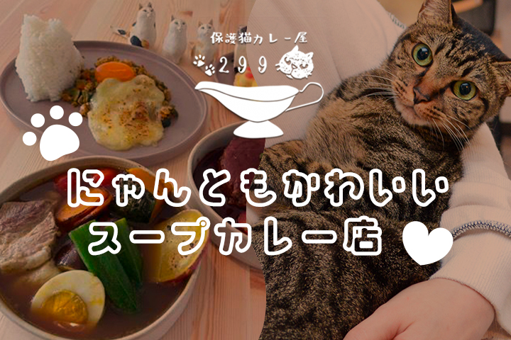 にゃんともかわいいスープカレー店♥ <br>「保護猫カレー屋299（にくきゅう）」