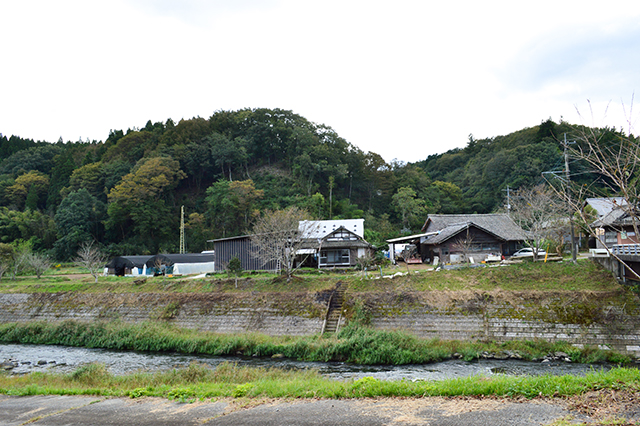 国内生産量、日本一！　百年続く竹田式サフラン