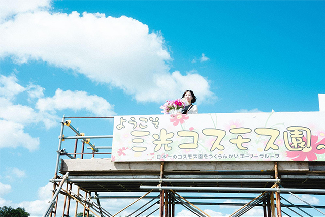 約2,500万本のコスモスがお出迎え！西日本最大級の規模「三光コスモス園」