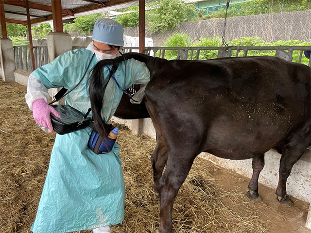 大分県庁獣医師職員