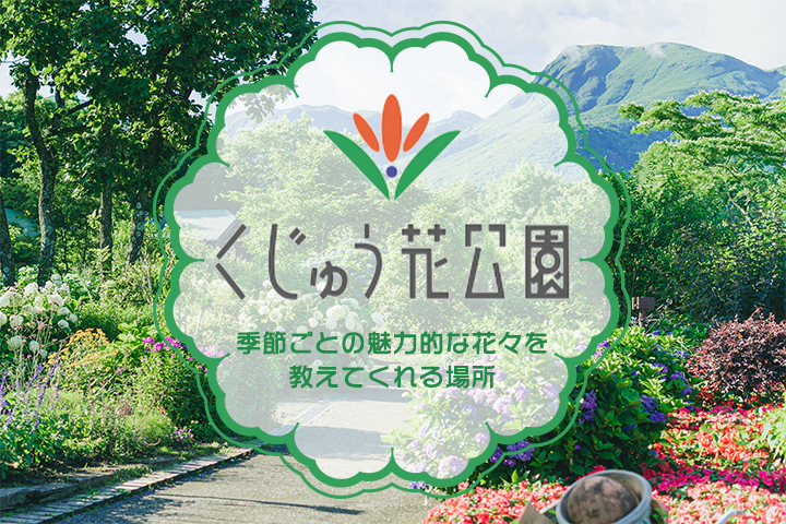 季節ごとの魅力的な花々を教えてくれる場所。 竹田市の「くじゅう花公園」
